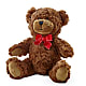 Adorable Plush Bear – LEMON TREE FLOWERS & THINGS, Columbiana OH