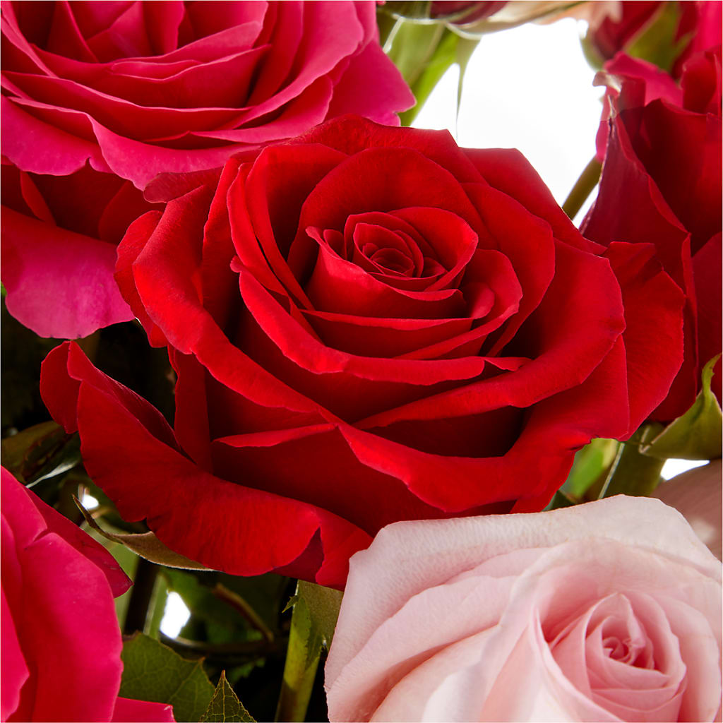 Love Notes Rose Bouquet – LEMON TREE FLOWERS & THINGS, Columbiana OH