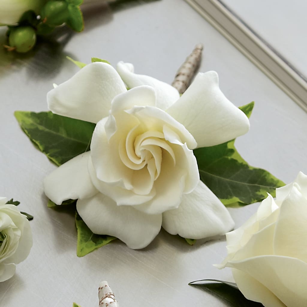 Gardenia Boutonniere – LEMON TREE FLOWERS & THINGS, Columbiana OH