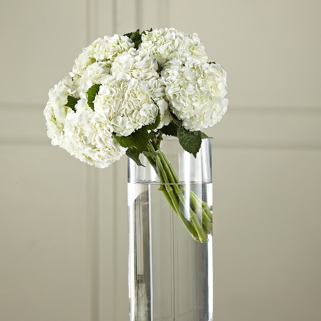 White Hydrangea Hand-Tied Bouquet – LEMON TREE FLOWERS & THINGS, Columbiana OH