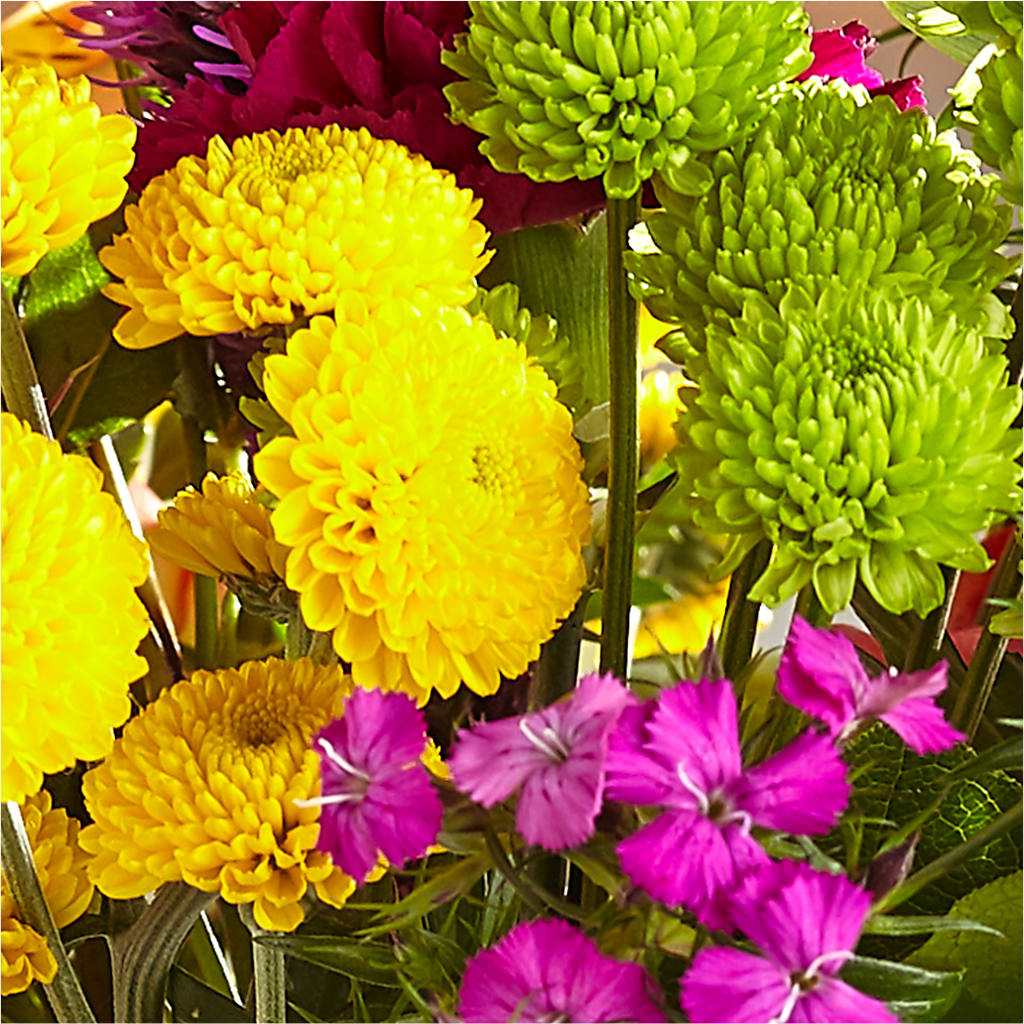 Bold & Bright – A Florist Original – LEMON TREE FLOWERS & THINGS, Columbiana OH