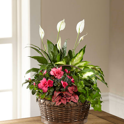 Dream in Pink Dishgarden – LEMON TREE FLOWERS & THINGS, Columbiana OH