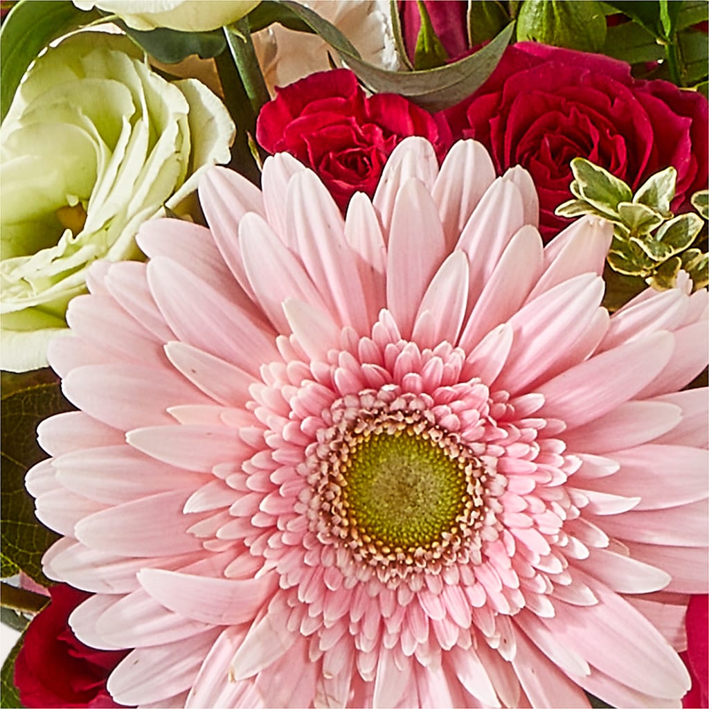 Too Cute Bouquet – LEMON TREE FLOWERS & THINGS, Columbiana OH