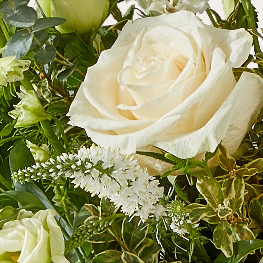 Cashmere Bouquet – LEMON TREE FLOWERS & THINGS, Columbiana OH