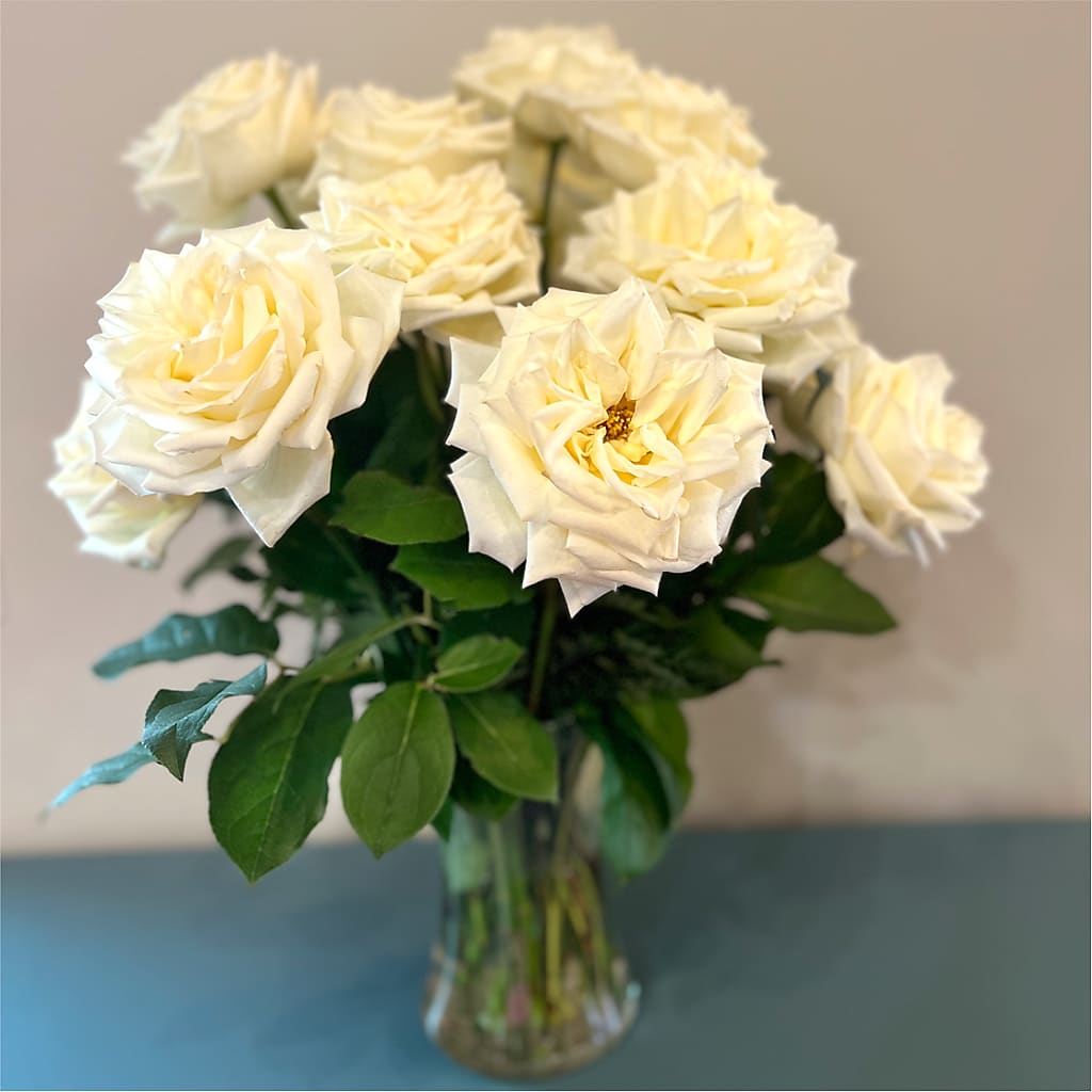 Long Stem Yellow Rose Bouquet – LEMON TREE FLOWERS & THINGS, Columbiana OH
