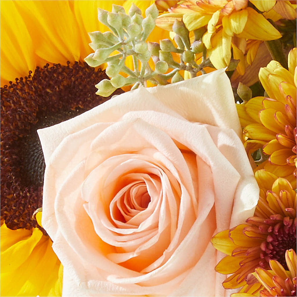 Pumpkin to Talk About Bouquet – LEMON TREE FLOWERS & THINGS, Columbiana OH