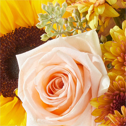 Pumpkin to Talk About Bouquet – LEMON TREE FLOWERS & THINGS, Columbiana OH