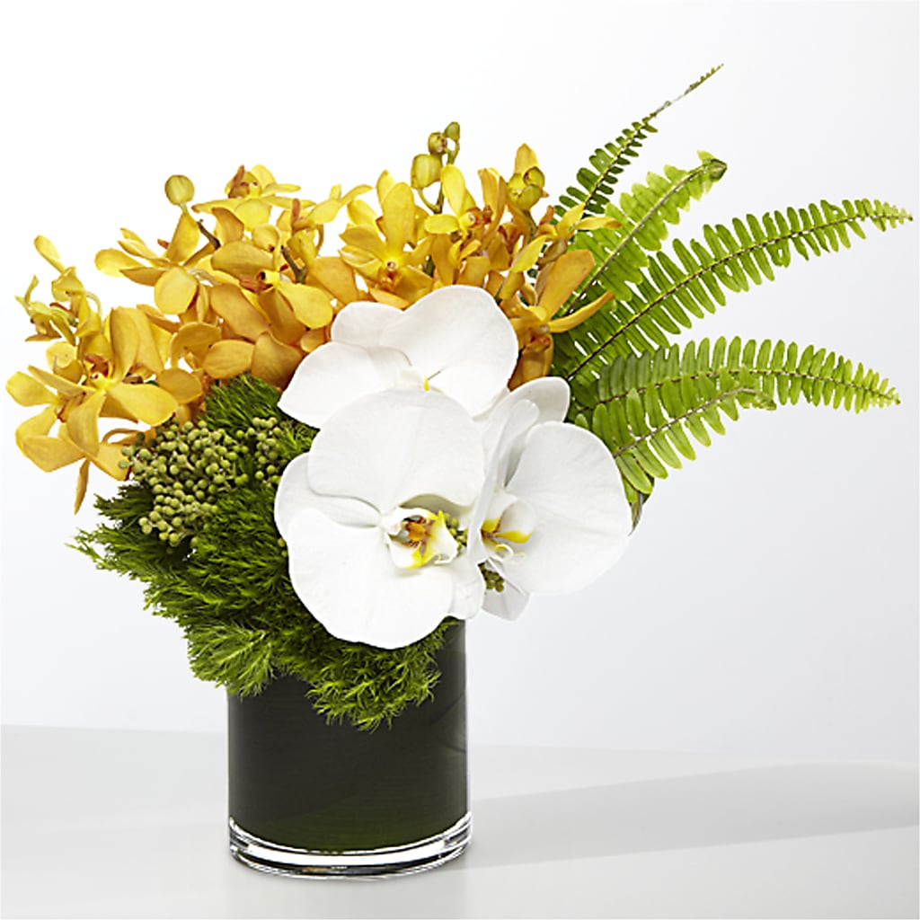 The Tropics – LEMON TREE FLOWERS & THINGS, Columbiana OH