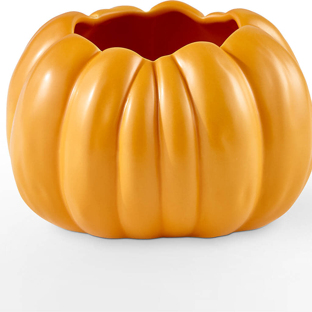 Golden Gourd Pumpkin Bouquet – LEMON TREE FLOWERS & THINGS, Columbiana OH