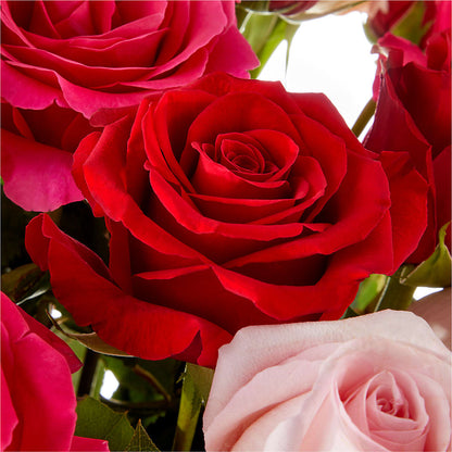Love Notes Rose Bouquet – LEMON TREE FLOWERS & THINGS, Columbiana OH
