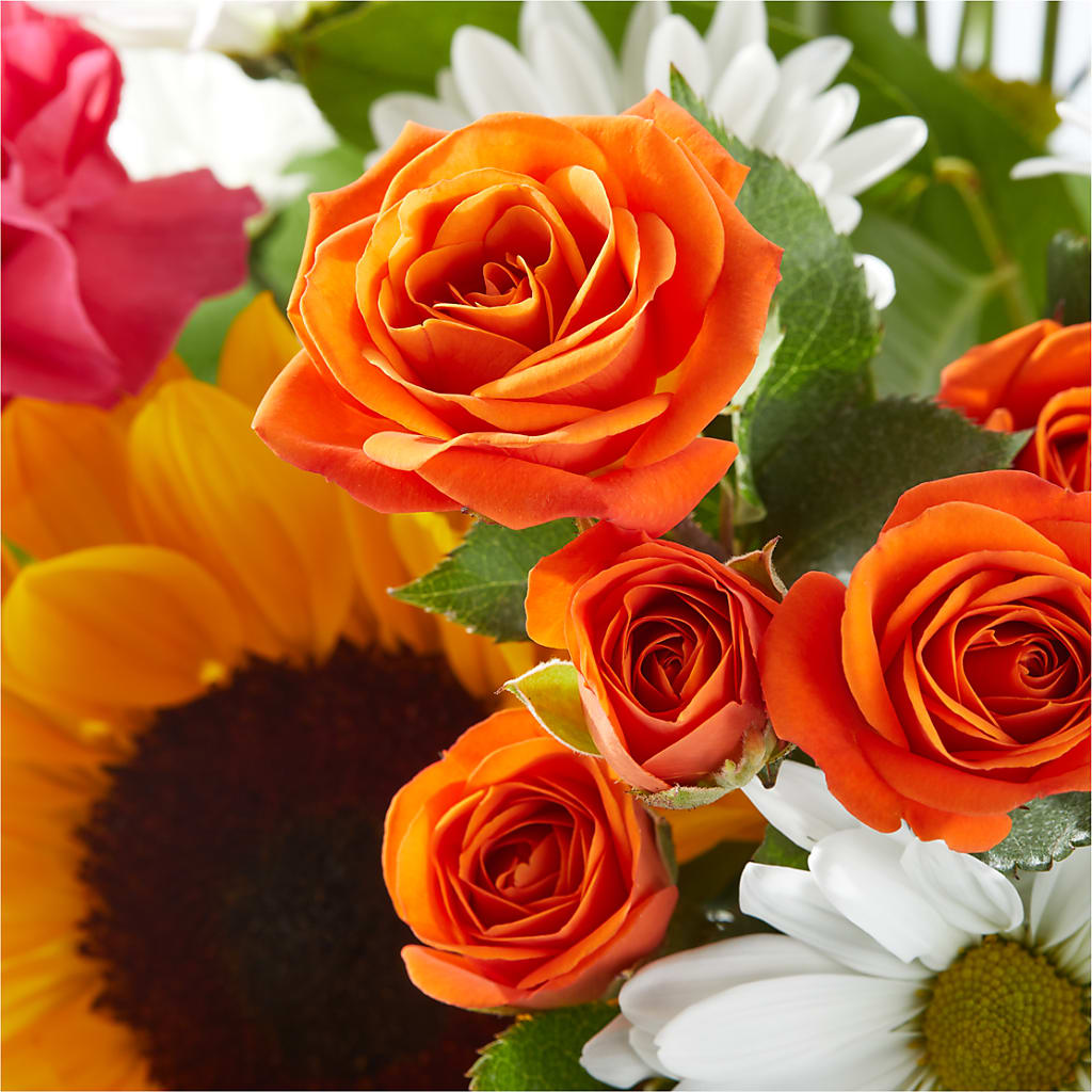 Sun-drenched Blooms Bouquet – LEMON TREE FLOWERS & THINGS, Columbiana OH