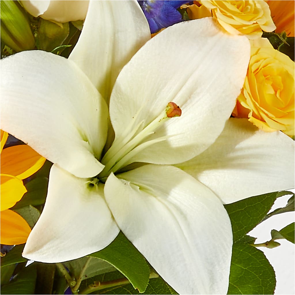 Wonderfully Sunny Bouquet – LEMON TREE FLOWERS & THINGS, Columbiana OH
