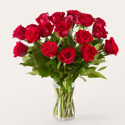 The One Red Rose Bouquet – LEMON TREE FLOWERS & THINGS, Columbiana OH