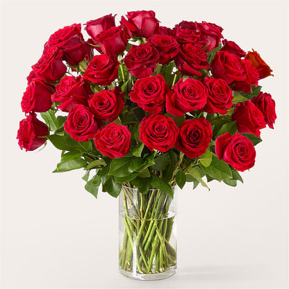 The One Red Rose Bouquet – LEMON TREE FLOWERS & THINGS, Columbiana OH