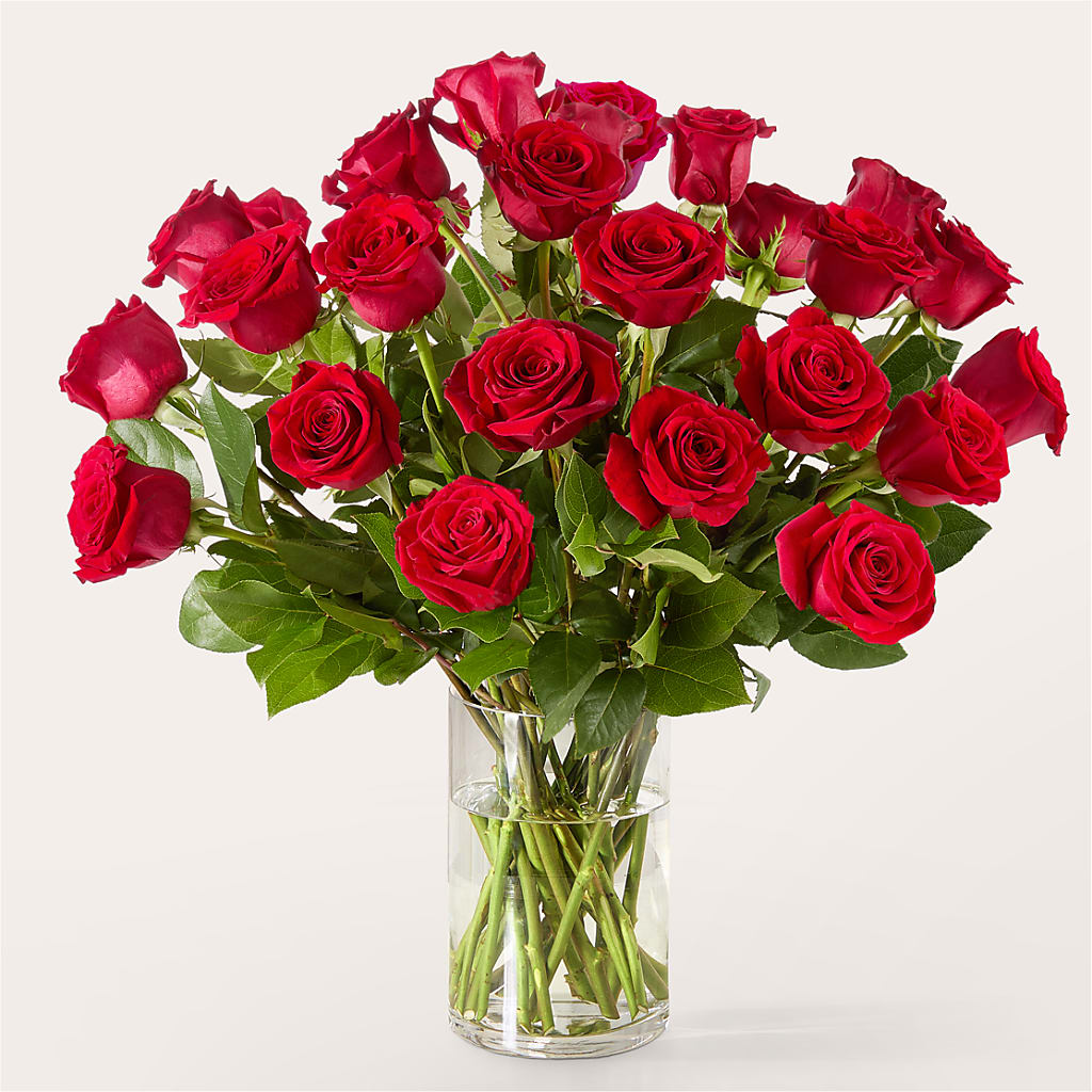 The One Red Rose Bouquet – LEMON TREE FLOWERS & THINGS, Columbiana OH